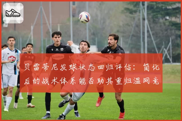 贝雷蒂尼发球状态回归评估:简化后的战术体系能否助其重归温网竞争者行列?