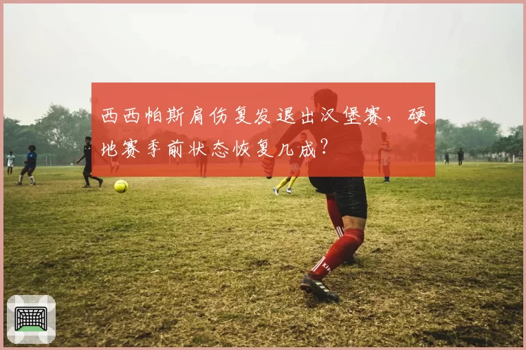 西西帕斯肩伤复发退出汉堡赛,硬地赛季前状态恢复几成?